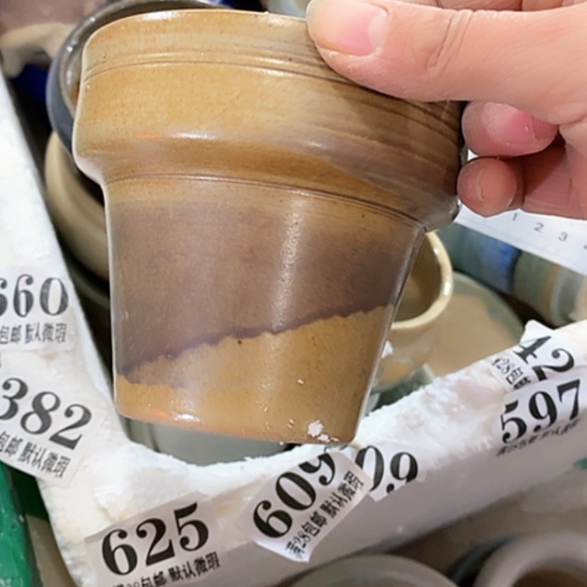 【闪购商品】红陶口10