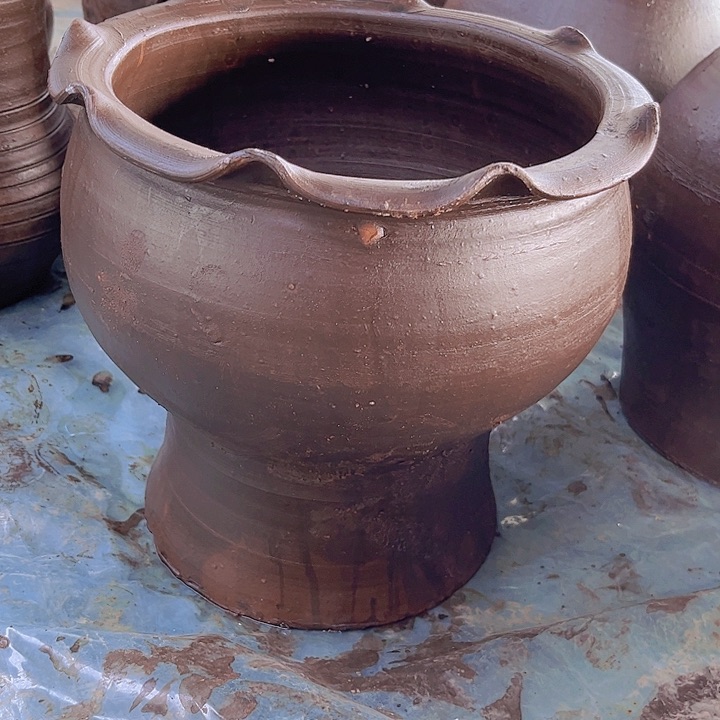 红陶212号24×25咖瑕