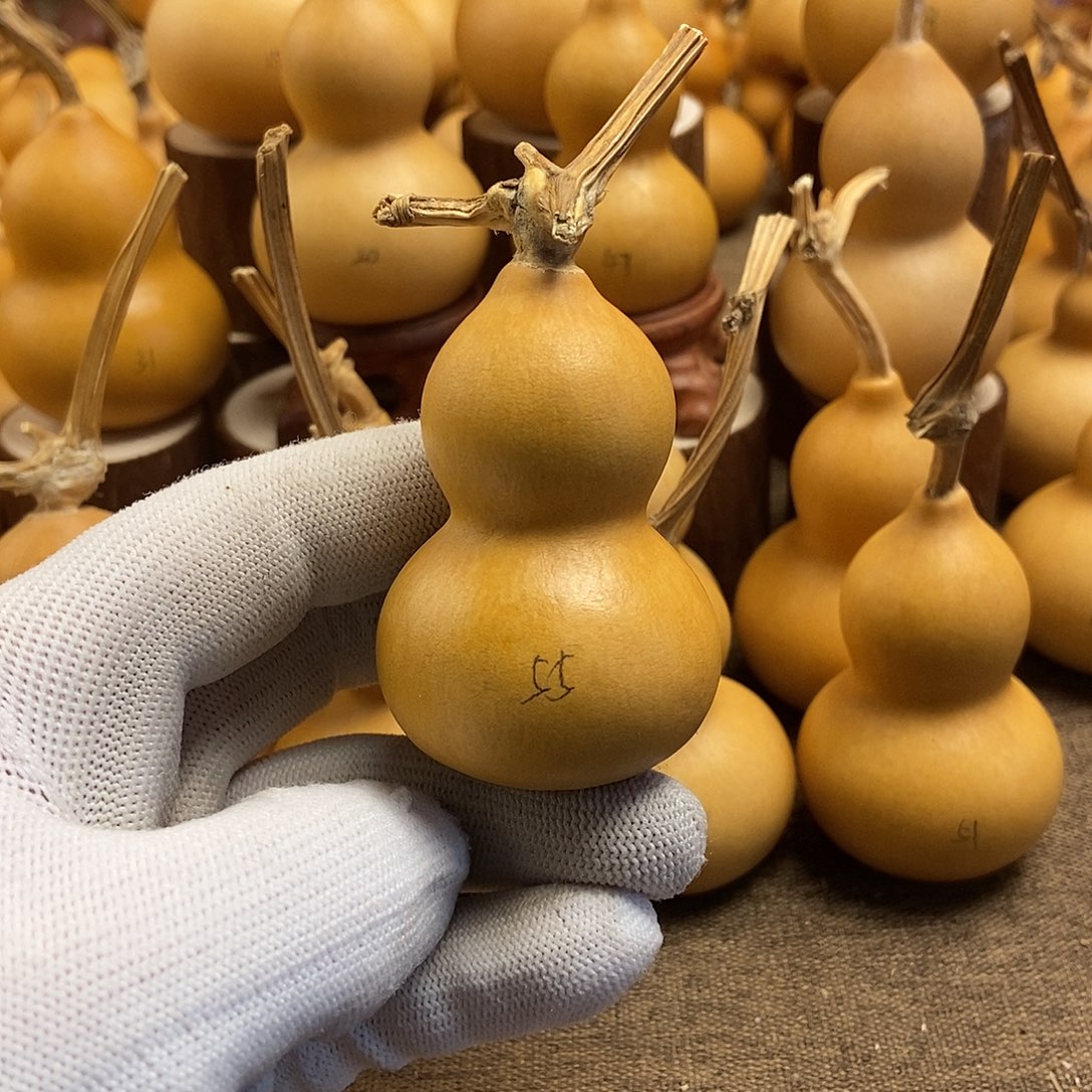 文玩葫芦 完美主义者 慎拍55