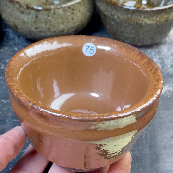 茶宠盏盏灯都是我的爱啊我