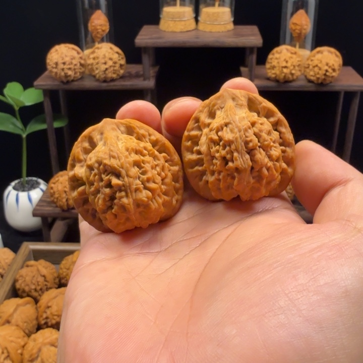 把件文玩核桃望月（毕业）