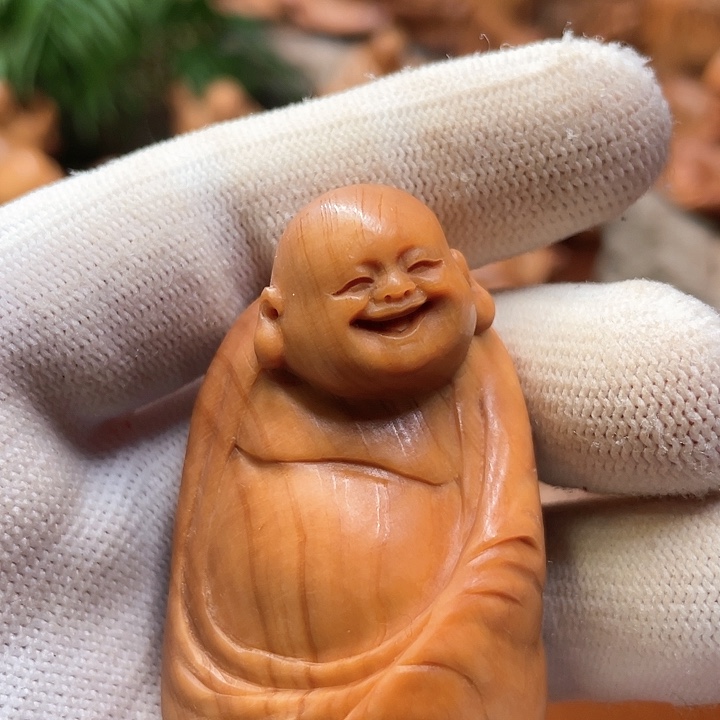 柏木太行崖柏乐乐