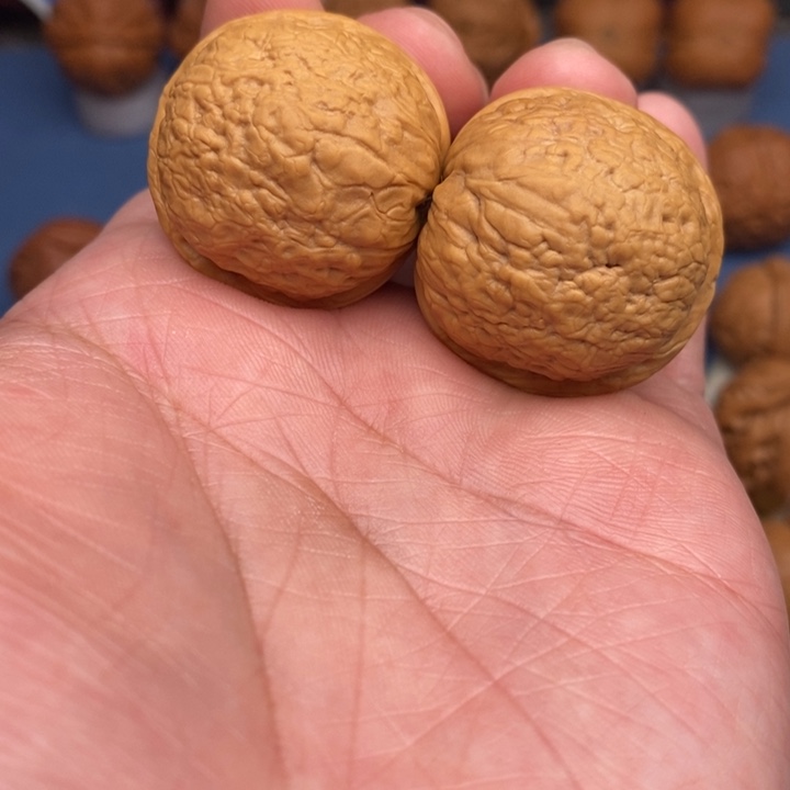 文玩核桃把件鱼籽纹