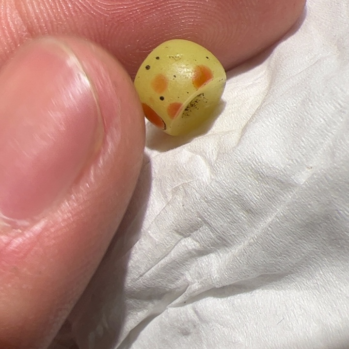 玻璃配饰你在一起