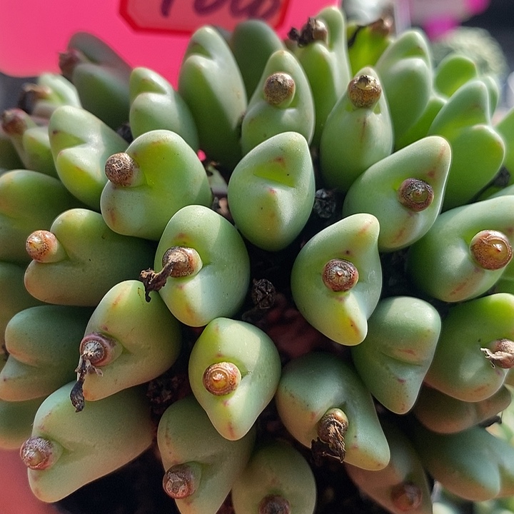 你也不要给他们添烦恼4028