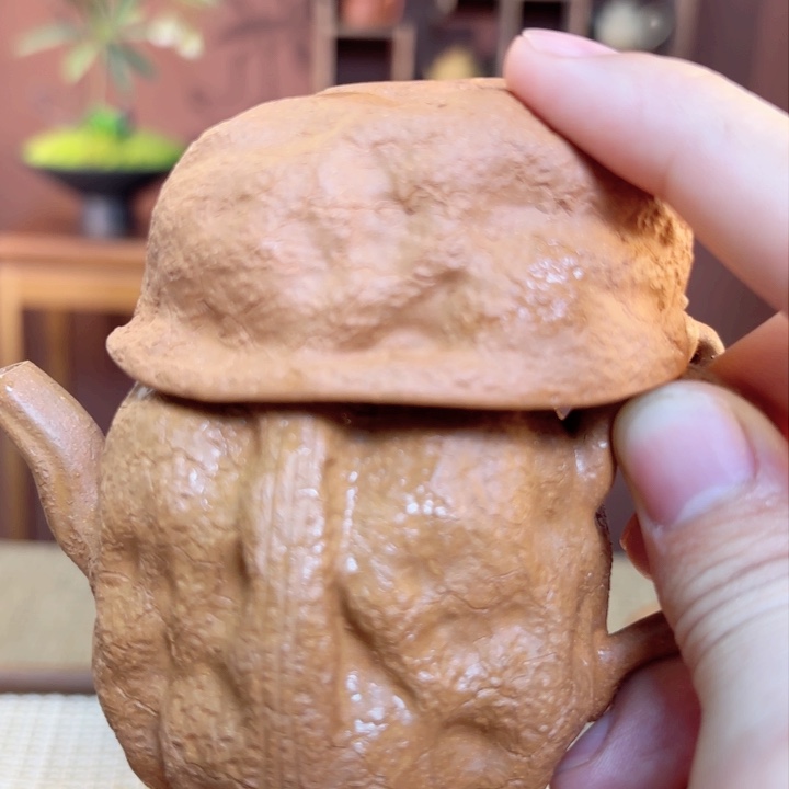 紫砂茶壶纯****螂紫砂我做的