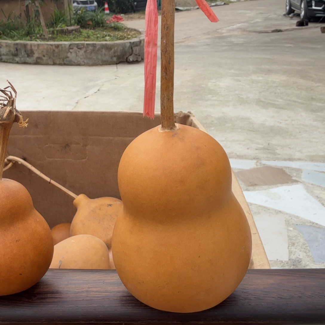 葫芦破价破价 速抢。