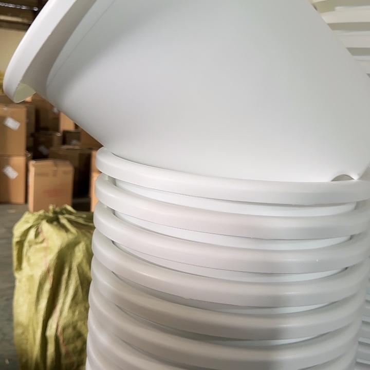 四季8号纯白无托5个特价微瑕