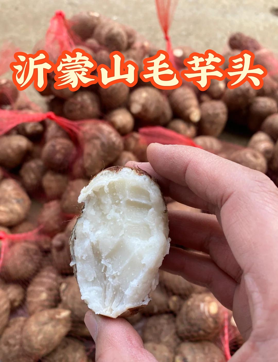 沂蒙山农家自种香芋新鲜牛奶小芋头软糯粉滑