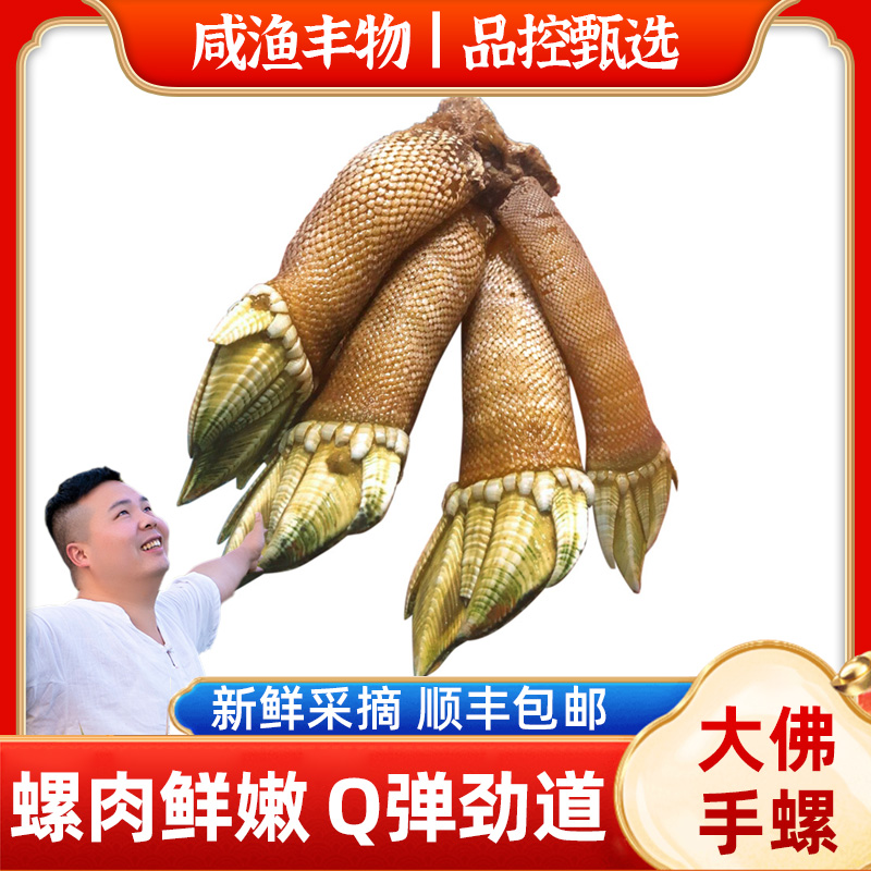 佛手螺中大号现挖鸡爪螺藤壶须脚鬼爪螺龟足螺观音手海鲜水产