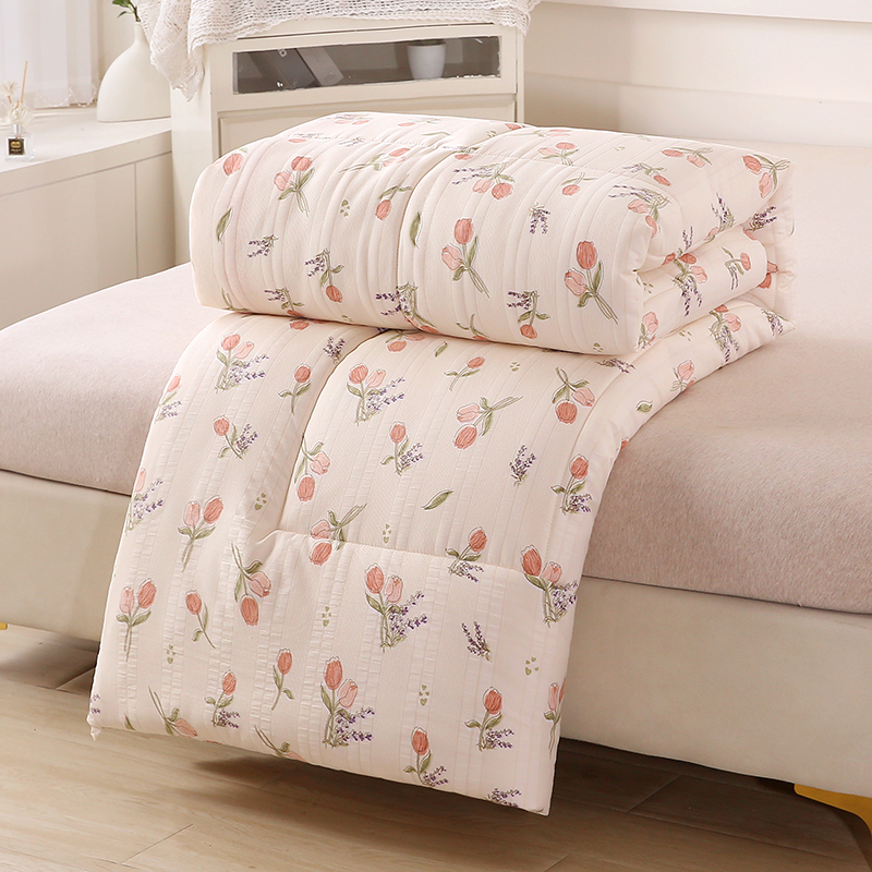 A类大豆被双人春秋被印花被芯冬被空调被夏凉被纤维被子太空被