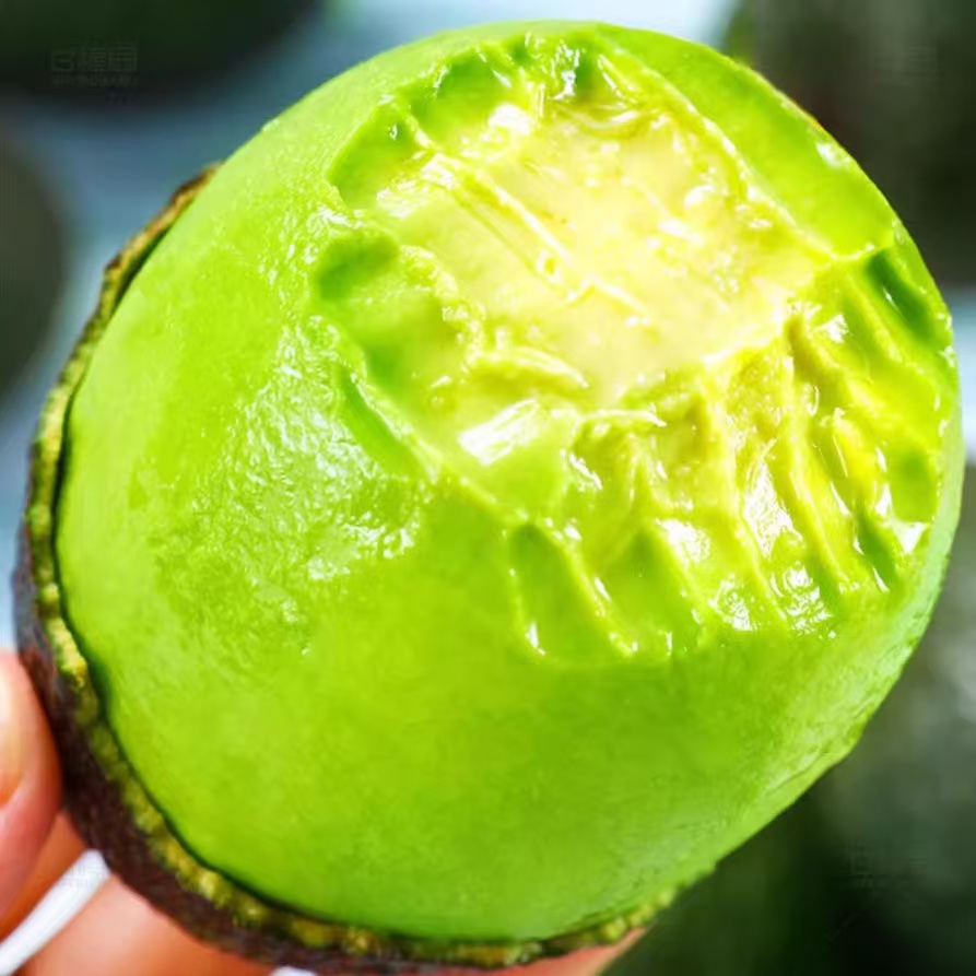 【云南哈斯牛油果】软糯坏果包赔新鲜应季水果孕妇宝妈水果宝宝辅食