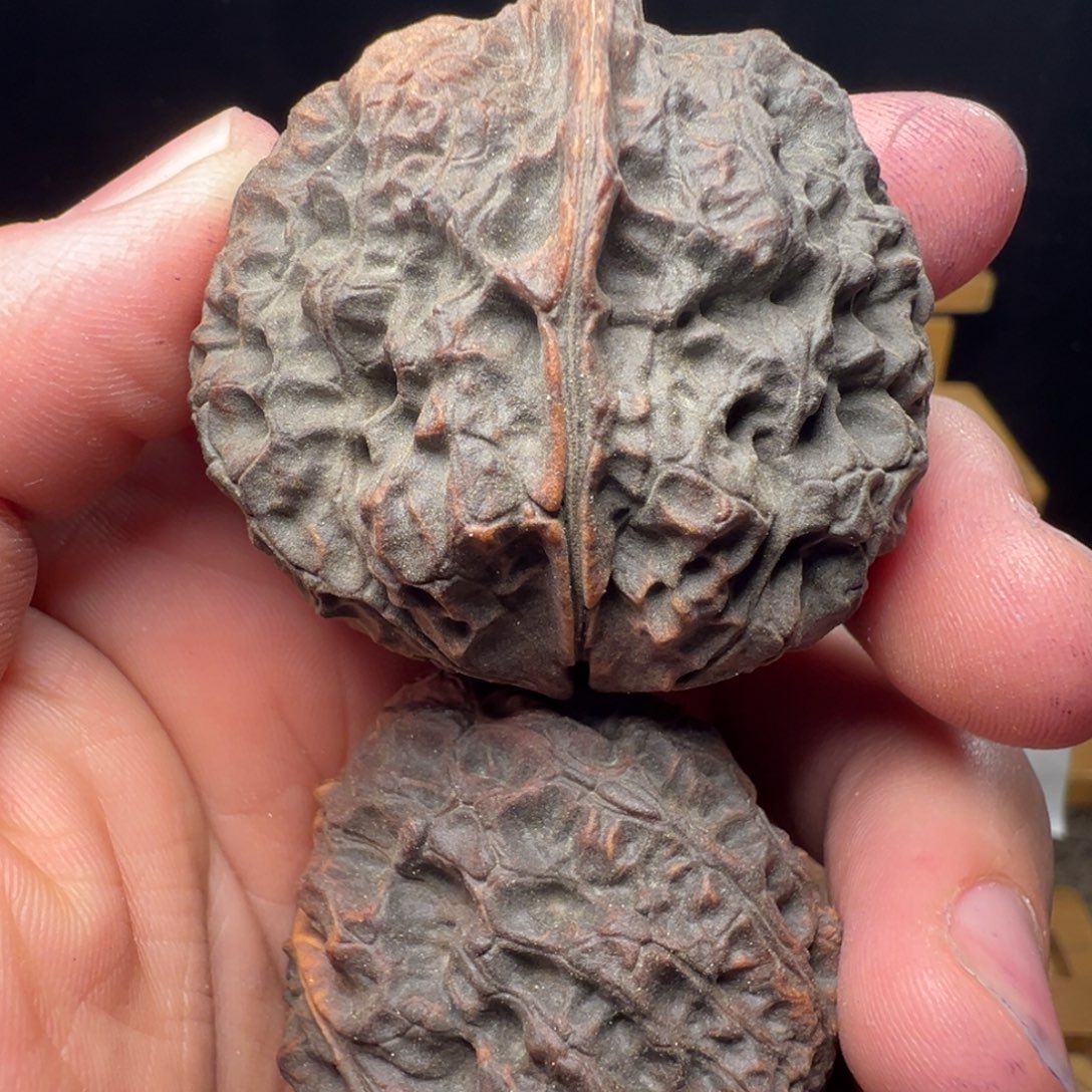 文玩核桃吊坠卧龙金蟾46mm