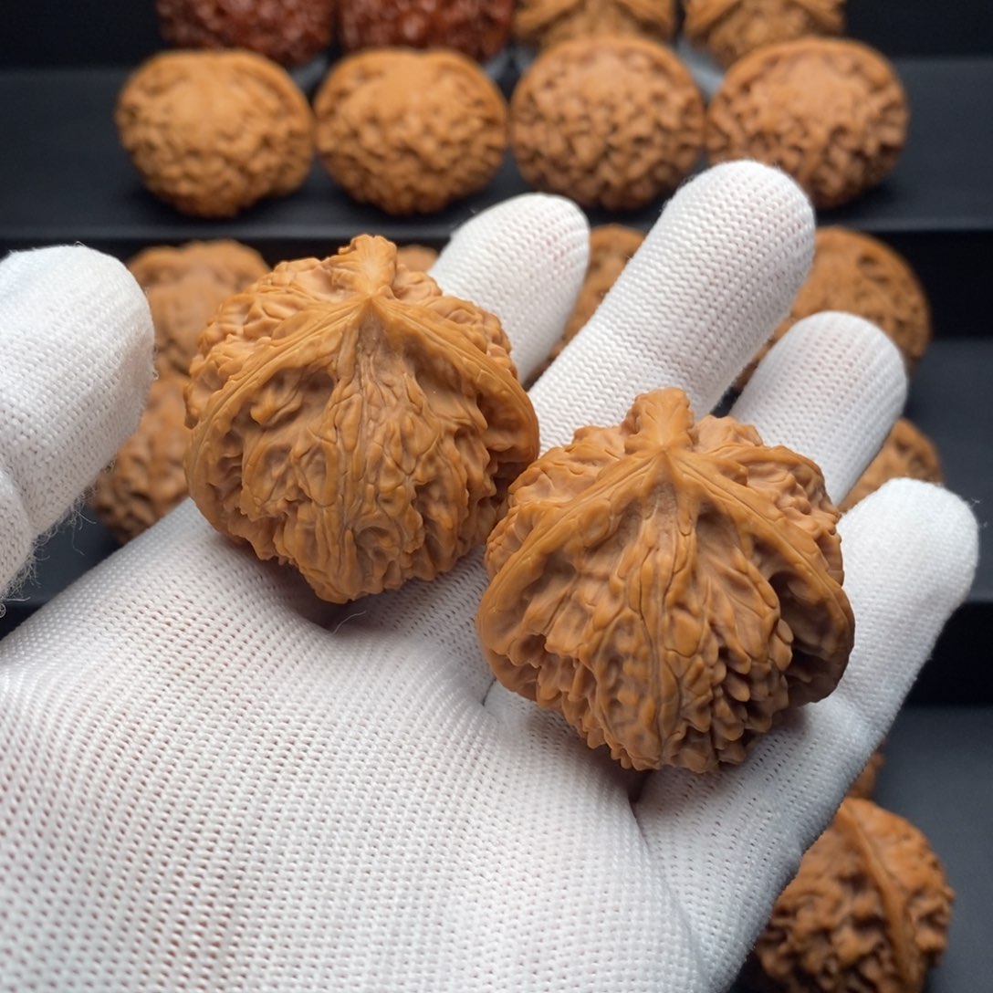 文玩核桃把件小*御龙粗筋