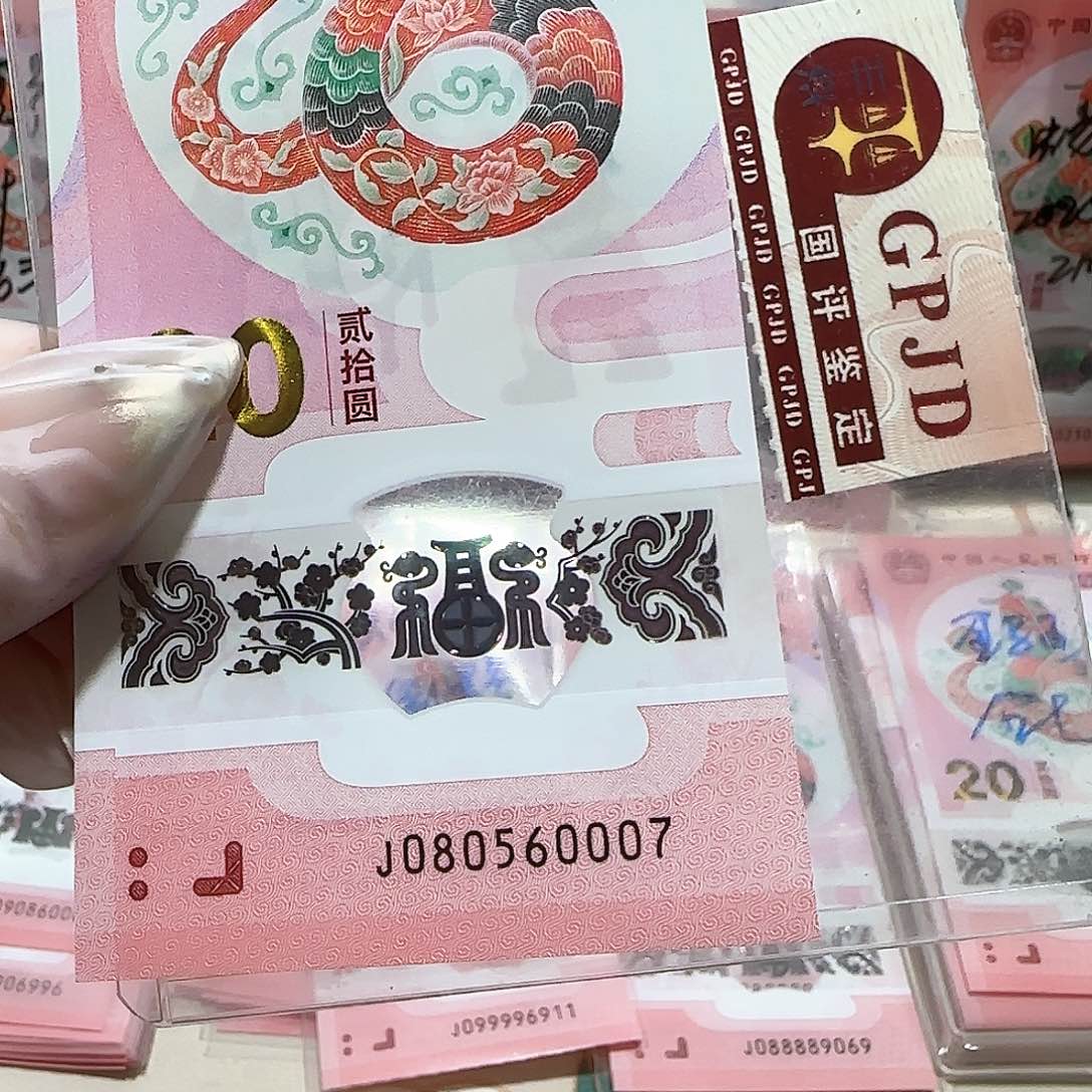 纸080560007。。。。5龙珠