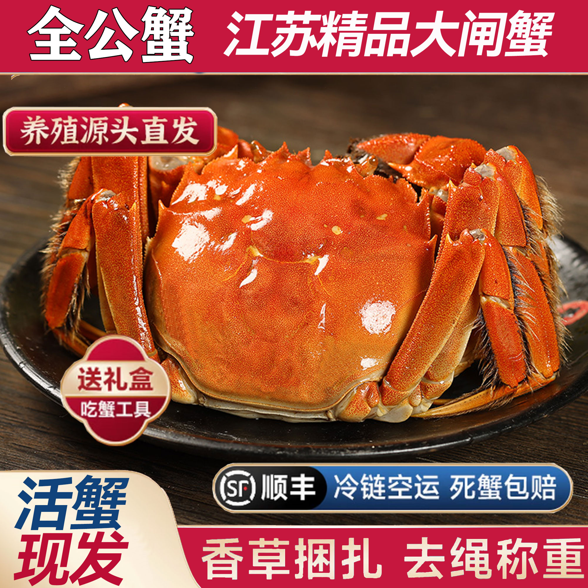 【江苏活蟹】全公蟹 大闸蟹精挑蟹5.5-5.2两6/8/10只礼盒装顺丰包邮