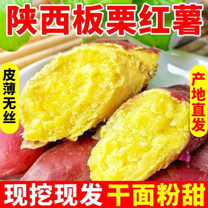 【星悦甄选】正宗陕西板栗红薯新鲜现挖蔬菜地瓜沙地番薯