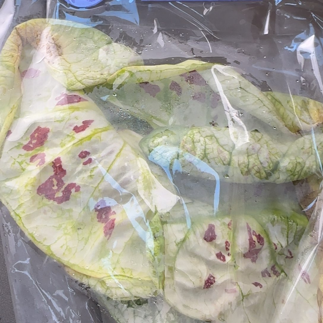 1004-1025广东发货三个好朋友