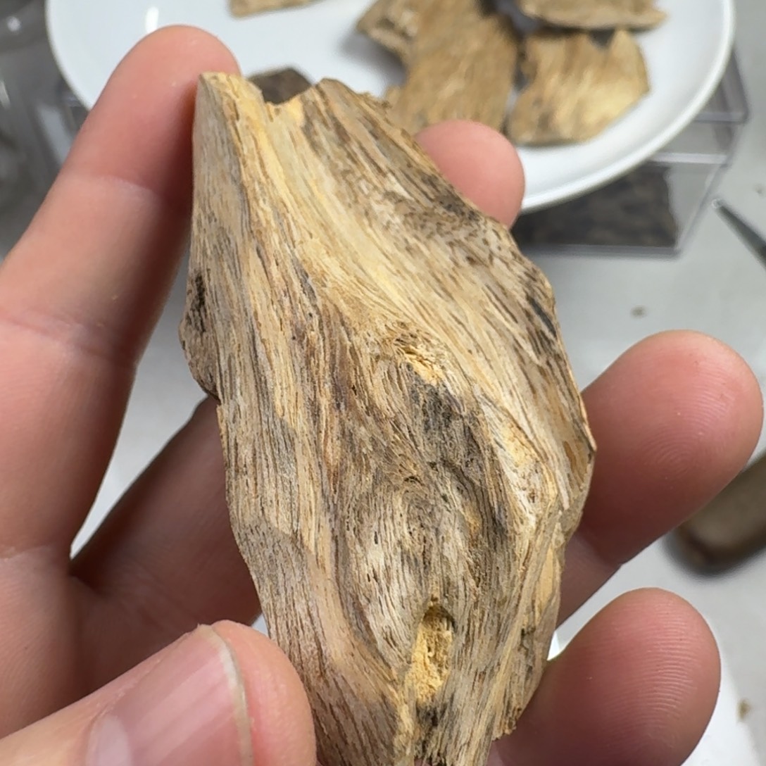 沉香碎屑沉香老广西虎斑棋