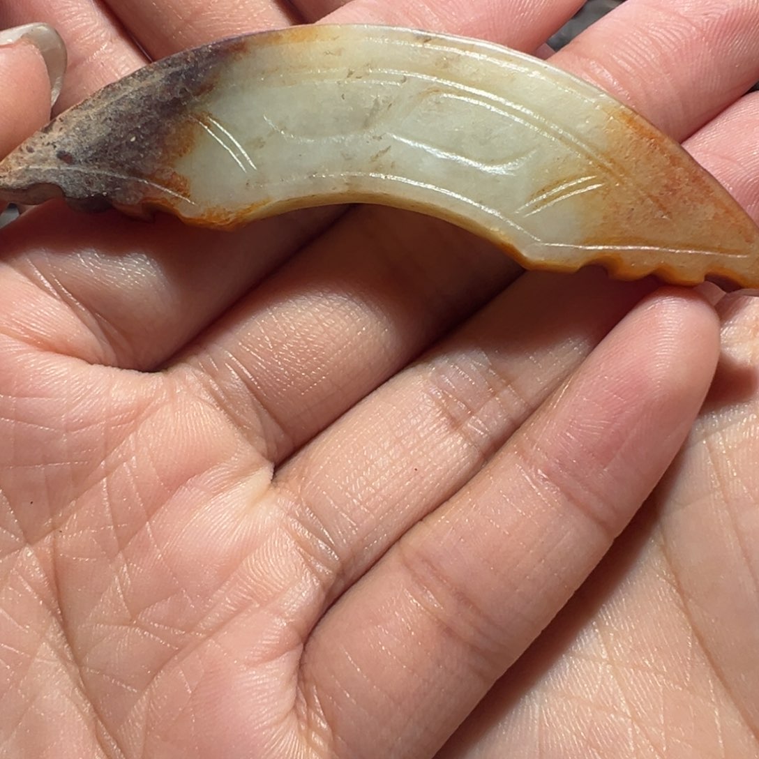 盘七天鉴赏期 一物一图