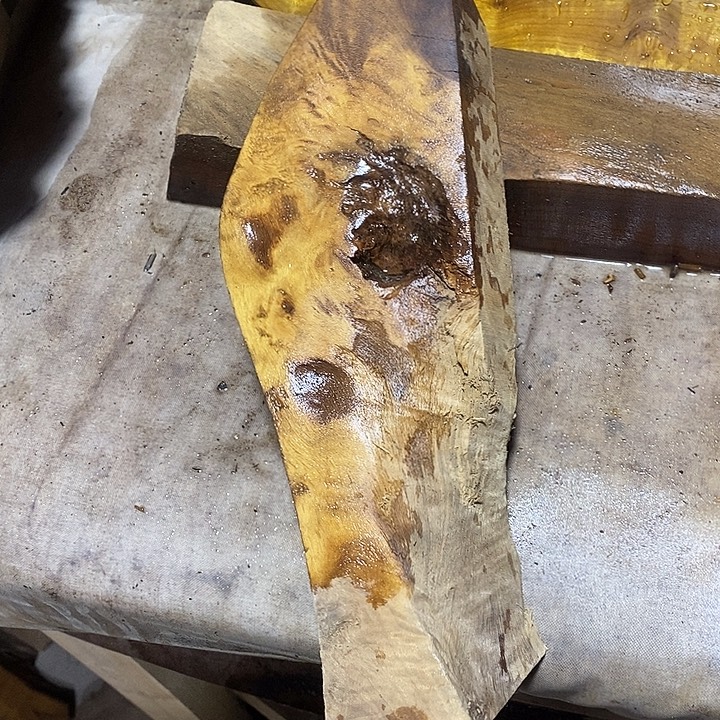 金丝楠木小叶桢楠木