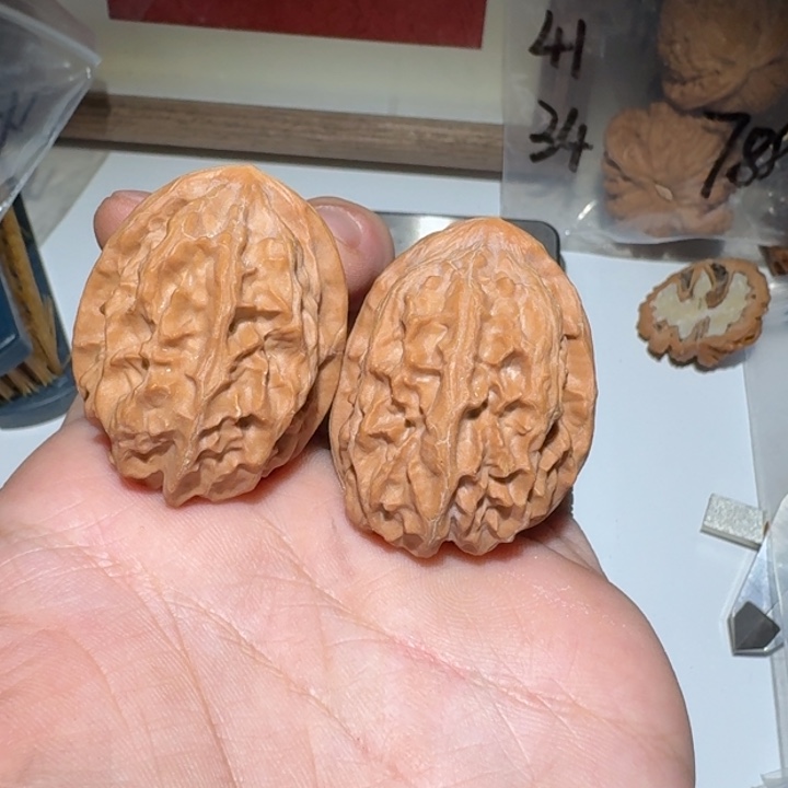 文玩核桃把件33尺寸S级63号