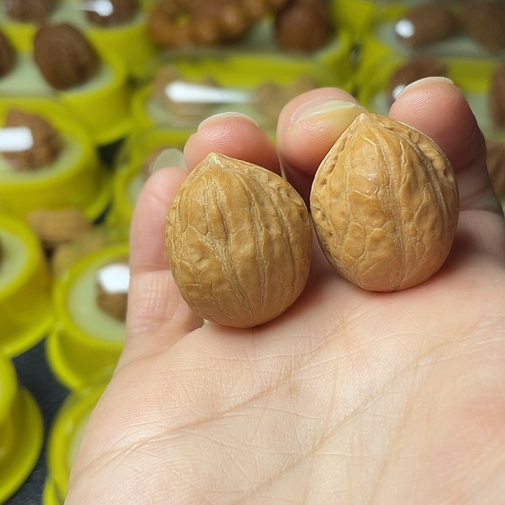 文玩核桃吊坠贝壳
