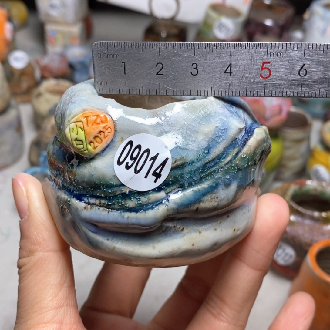 花盆拍3送一个小礼物