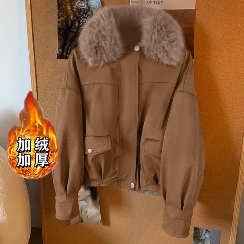 通勤风立领长袖女冬季保暖女士拉链小个子短外套