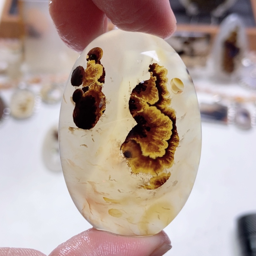 【闪购商品】玛瑙/玉髓颈饰未镶嵌