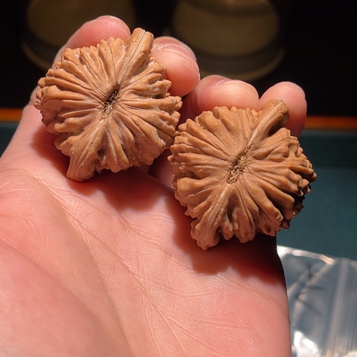 文玩核桃把件信***;41楼子毕业对