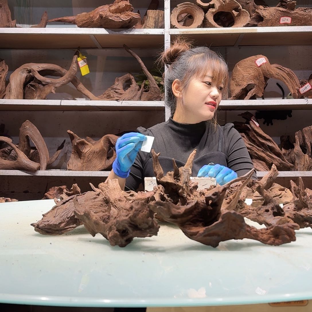 倍诸沉木不包损，必黄水裕****斗0345紫柚小货