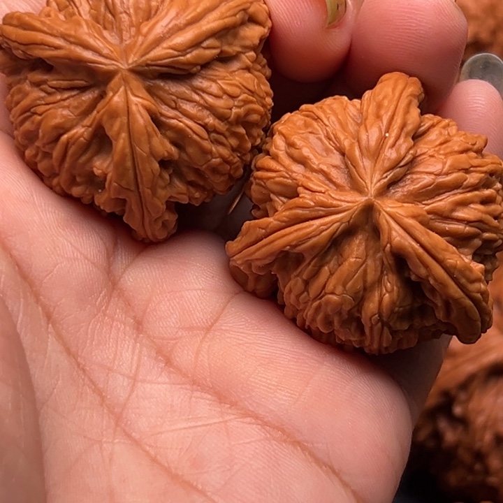 ****✟文玩核桃吊坠888888888