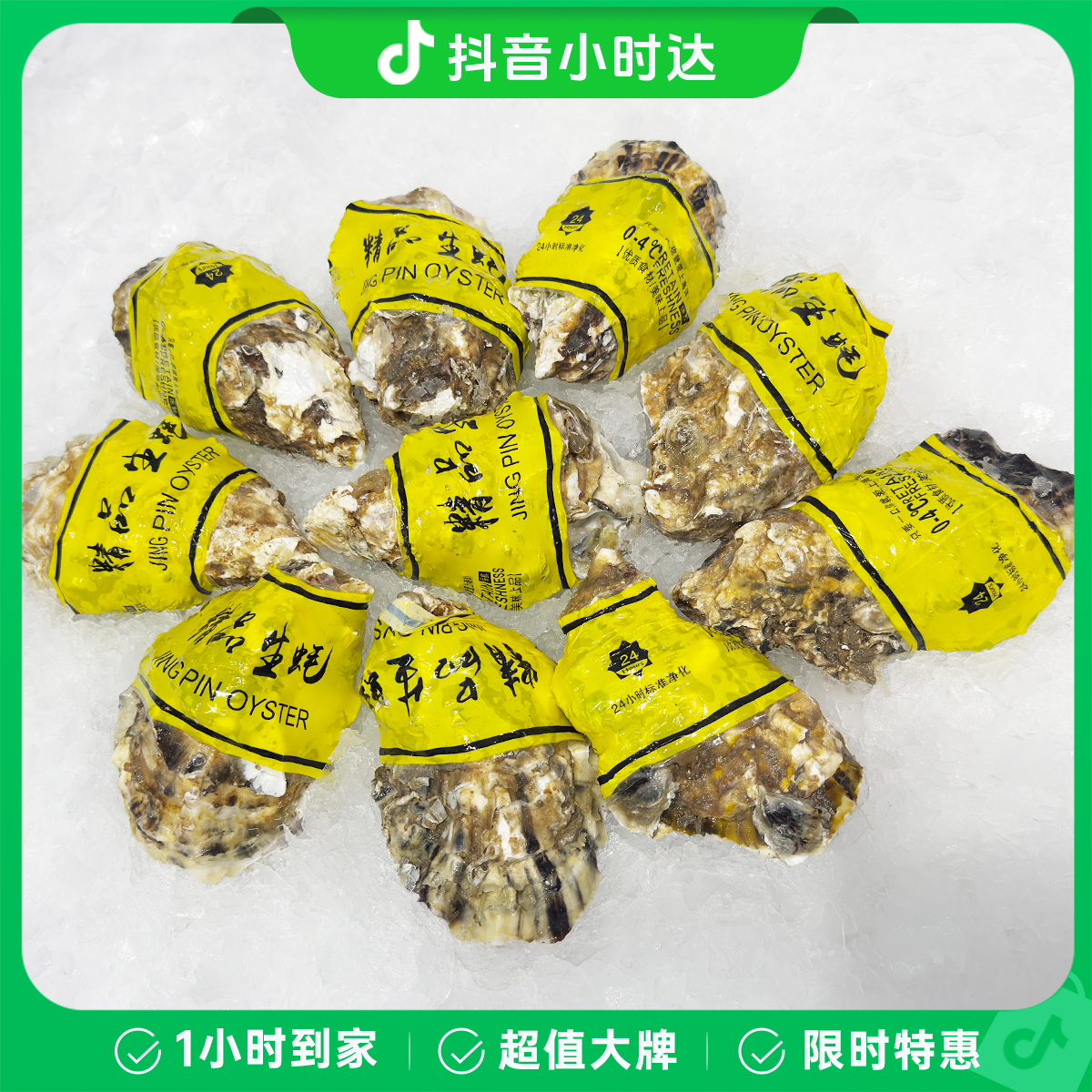 精品乳山生蚝4+精品10个/约2300g份