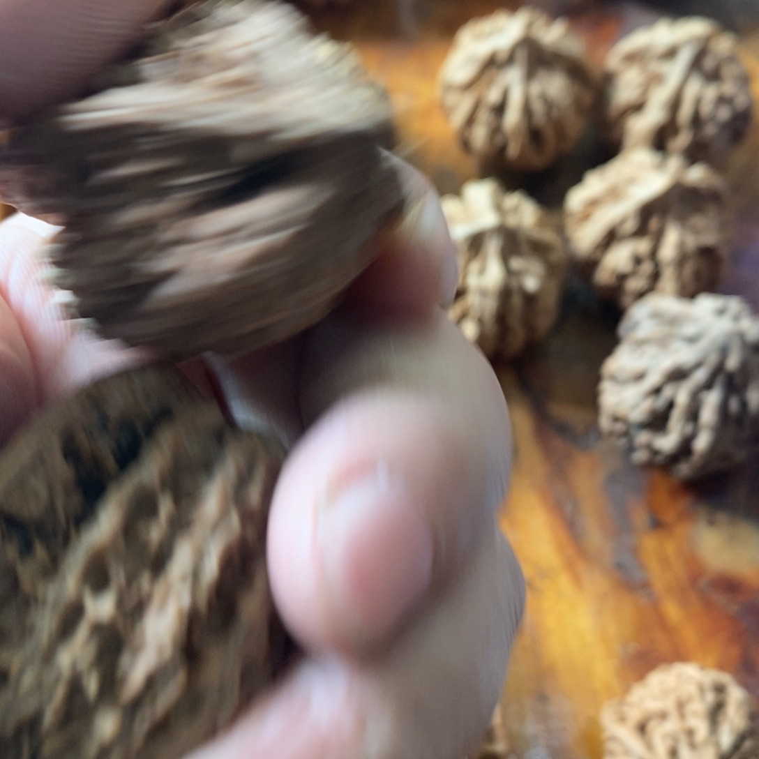 秦岭南侧和东北的山