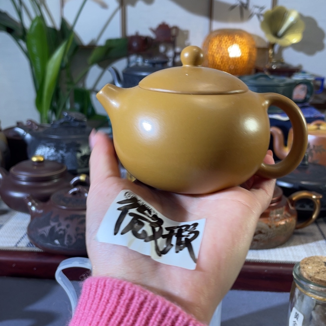 紫砂茶壶哈哈哈哈哈