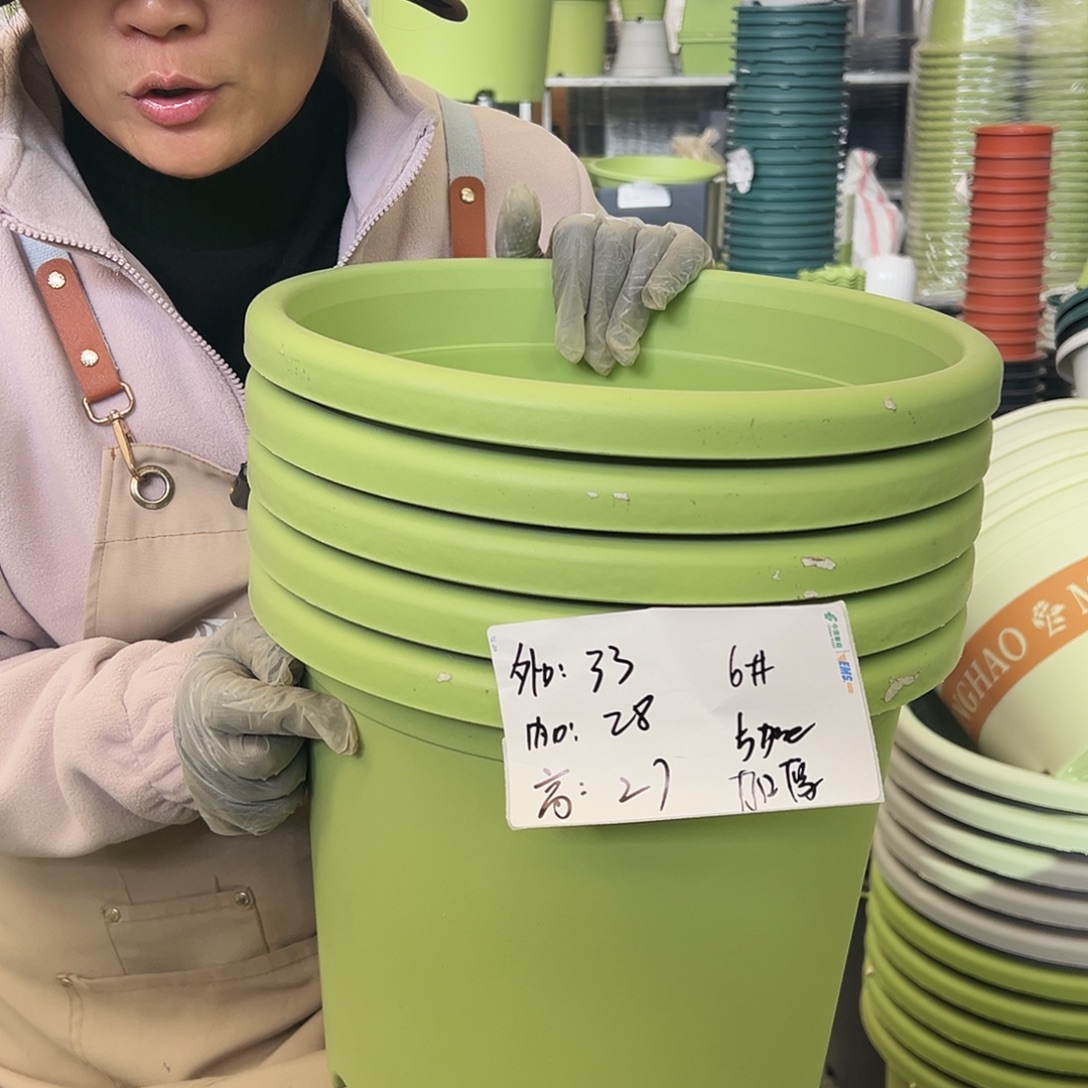 四季盆6#果绿色5个无托