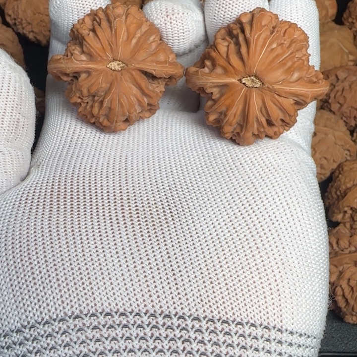 张***-吊坠文玩核桃山地磨