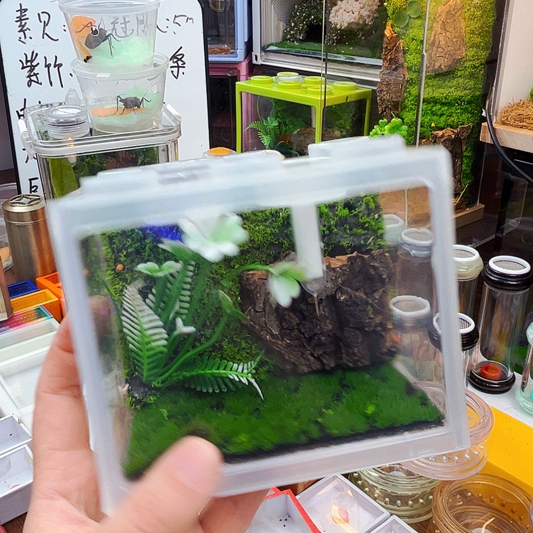 积木生态箱➕两电报