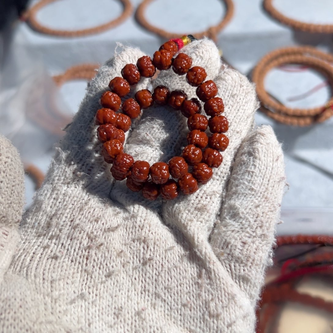 A****⭕五爪金龙龙切佛手，小金刚手持