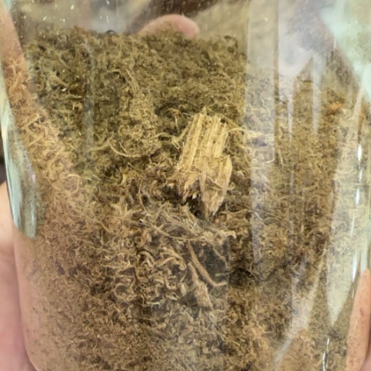 【闪购商品】沉香手串印尼沉香品香粉11克