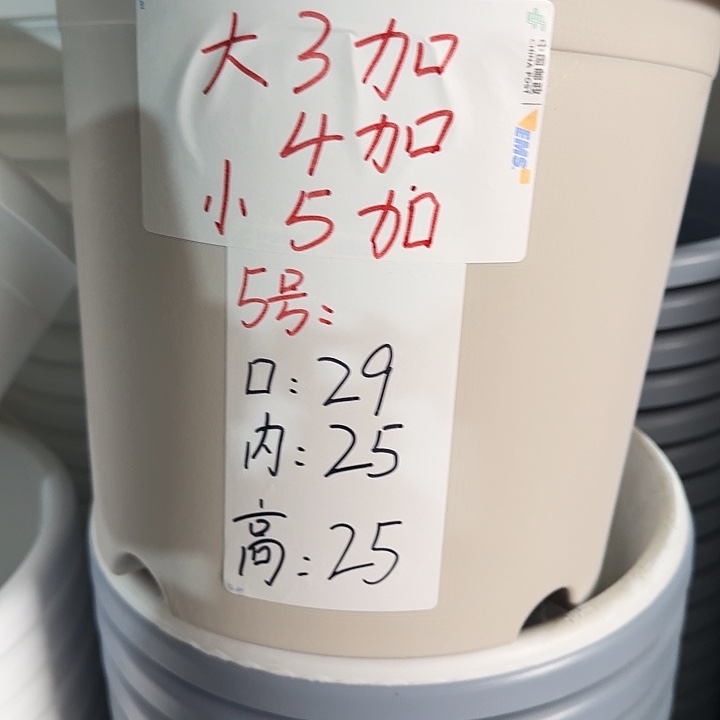 四季5号灰白无托10个特价