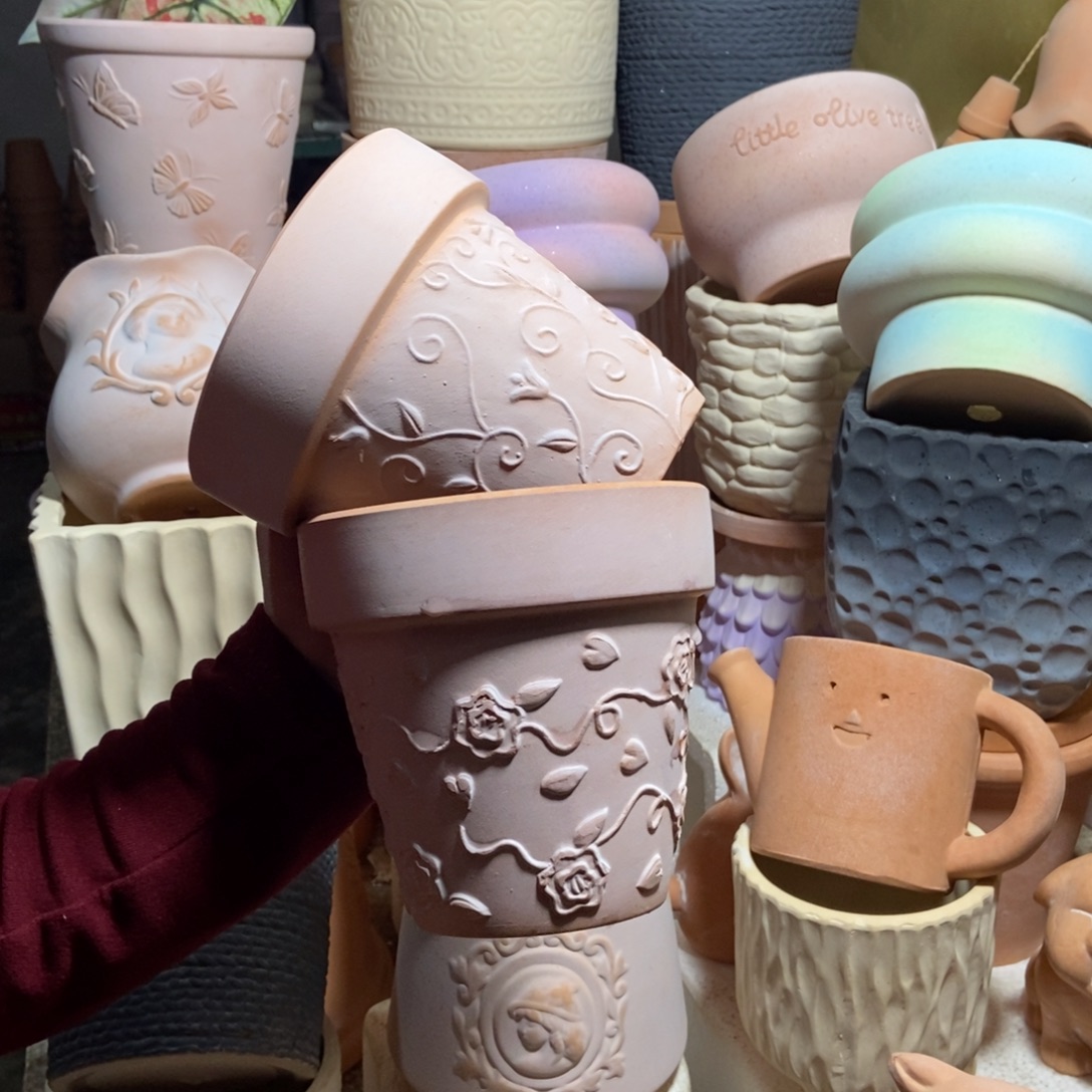 14×13雾化国际玫瑰+钩藤2个