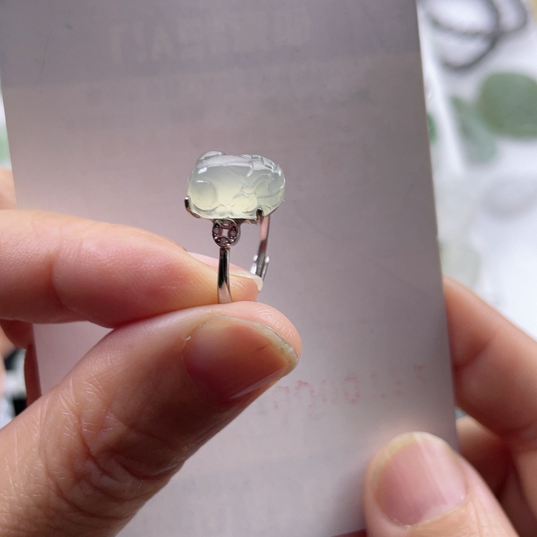 翡翠颈饰未镶嵌貔貅戒指