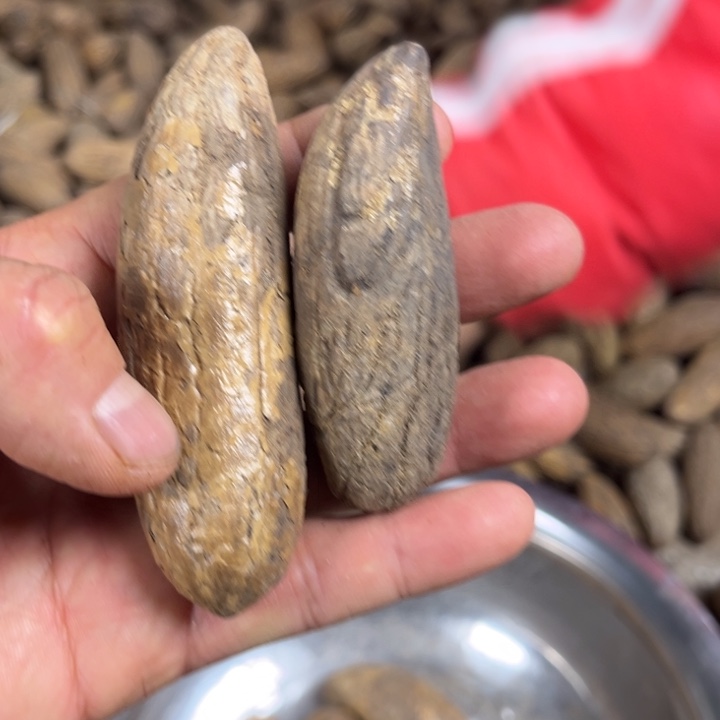 吊坠千眼菩提千眼菩提四十六号。