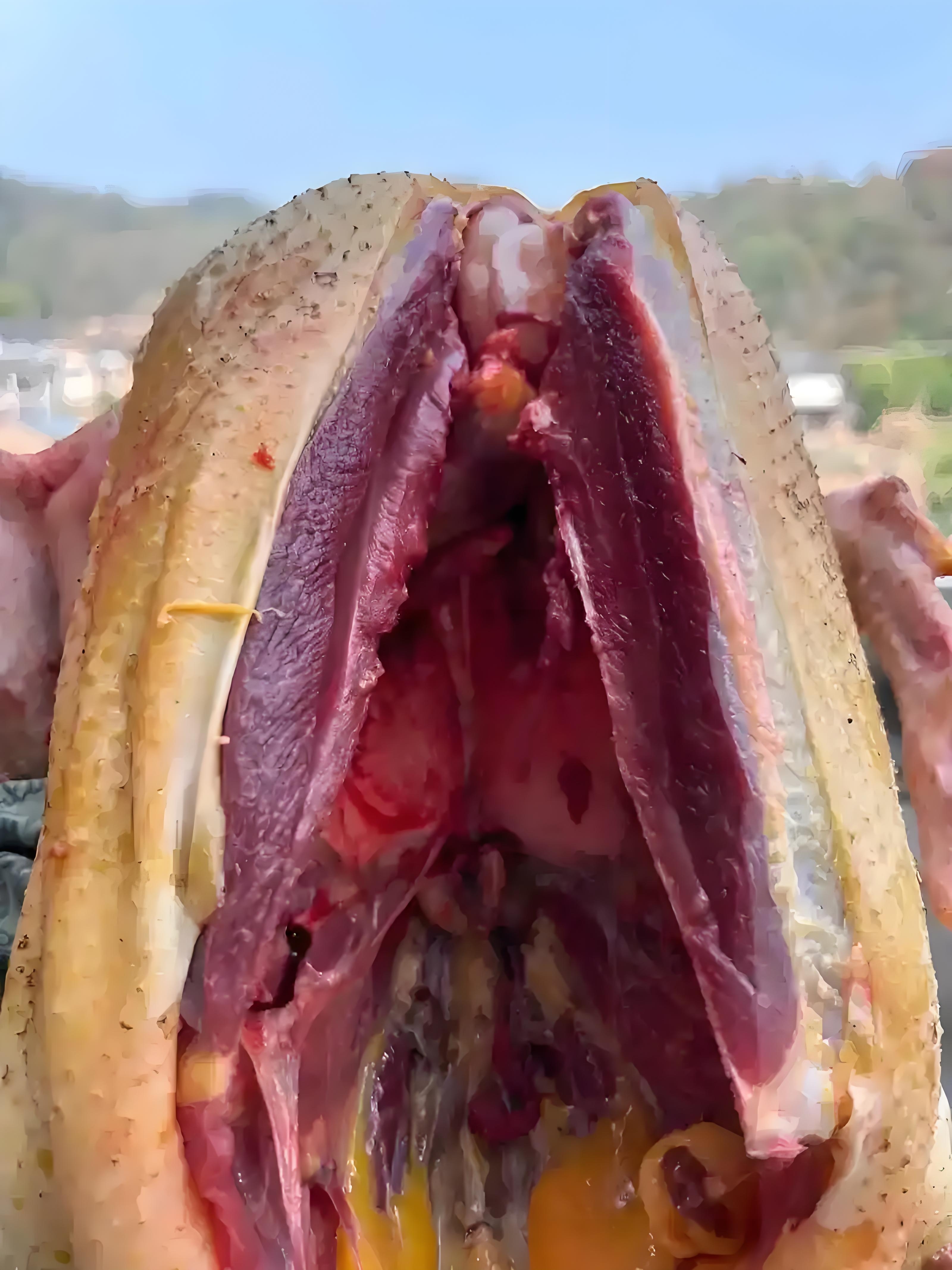 乡里散养老土鸭，现杀现发货包邮番鸭吃火锅专用菜螺丝椒