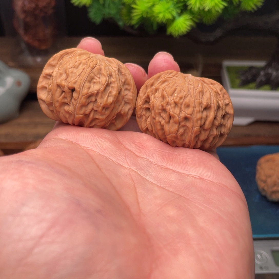 文玩核桃把件G5号41尺磨盘