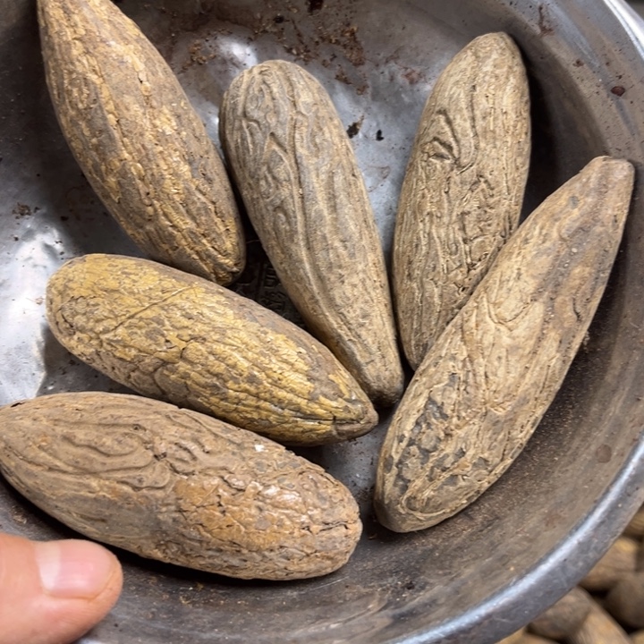 吊坠千眼菩提千眼菩提 41