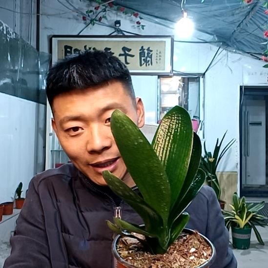 @没.网络69一颗黑狮子麻油