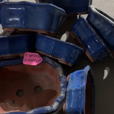 100-8。 微瑕。组合100-8